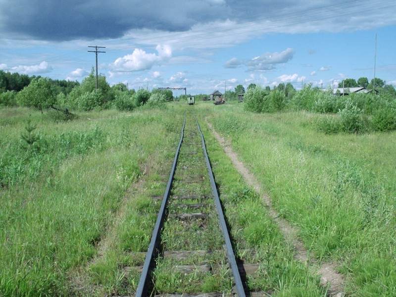 Авнюгская узкоколейная железная дорога